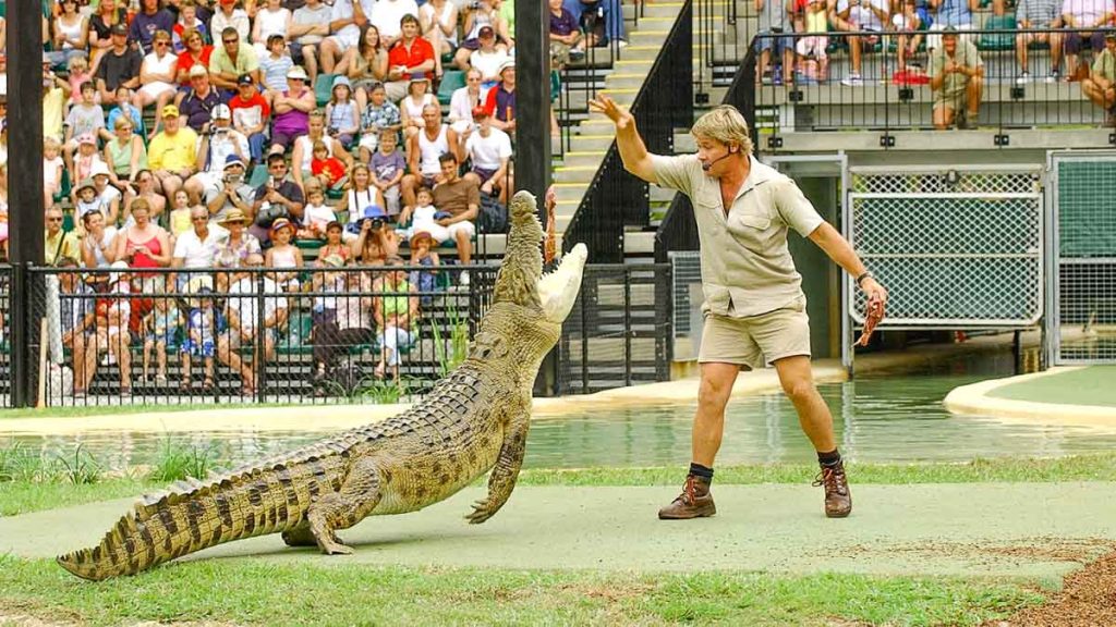 Man Feeding Crocodile - Queensland Travel Guide