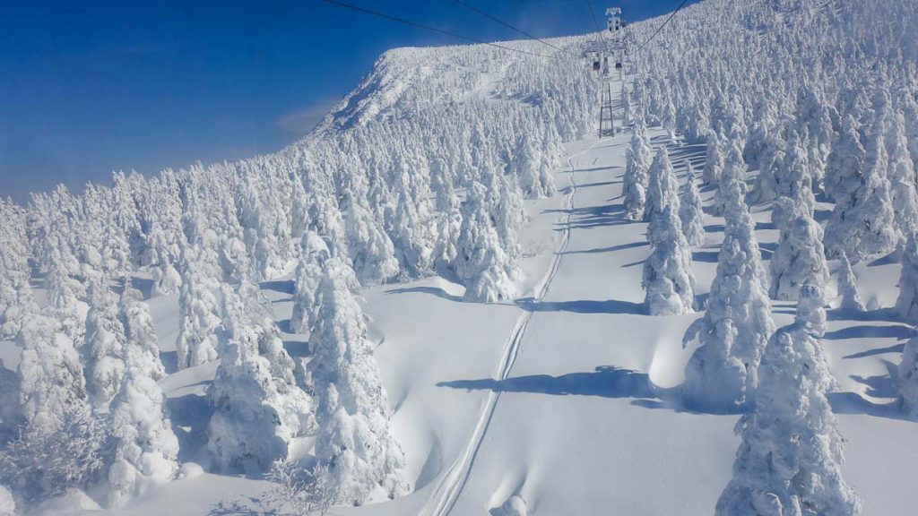 White Snow Slopes - Japan Outdoor Adventures