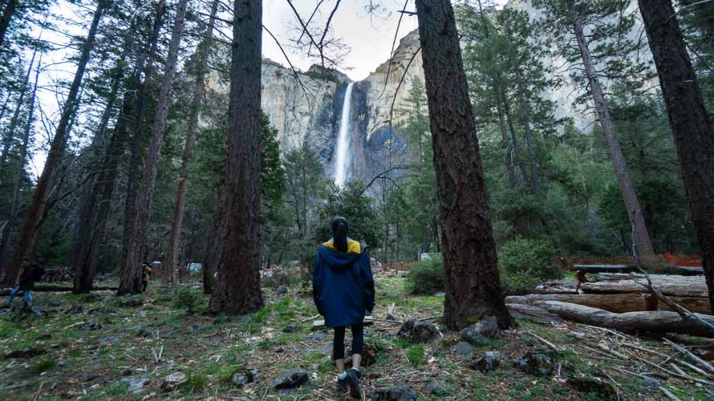 Girl Admiring Bridal Veil Falls Yosemite - San Francisco Itinerary