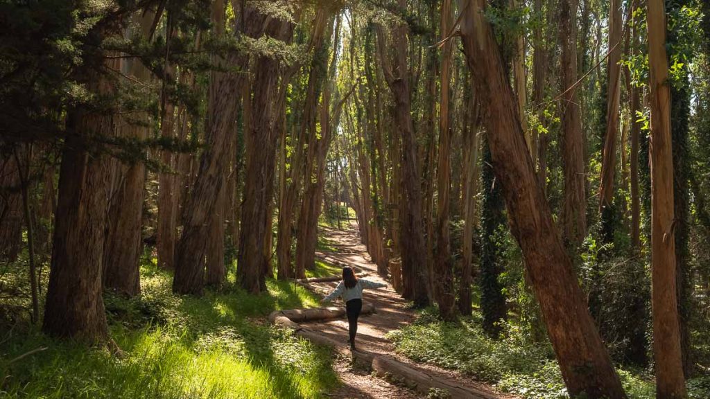 Lover's Lane at Presidio - day trips from San Francisco