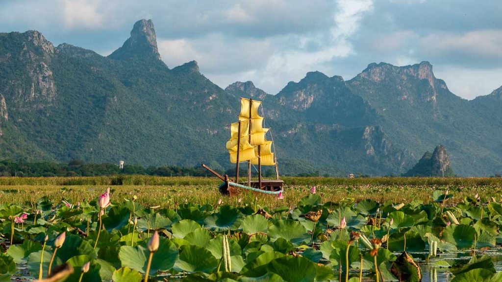 Hua Hin Khao Sam Roi Yot National Park Bueng Bua Lotus Pond - Things to do in Hua Hin