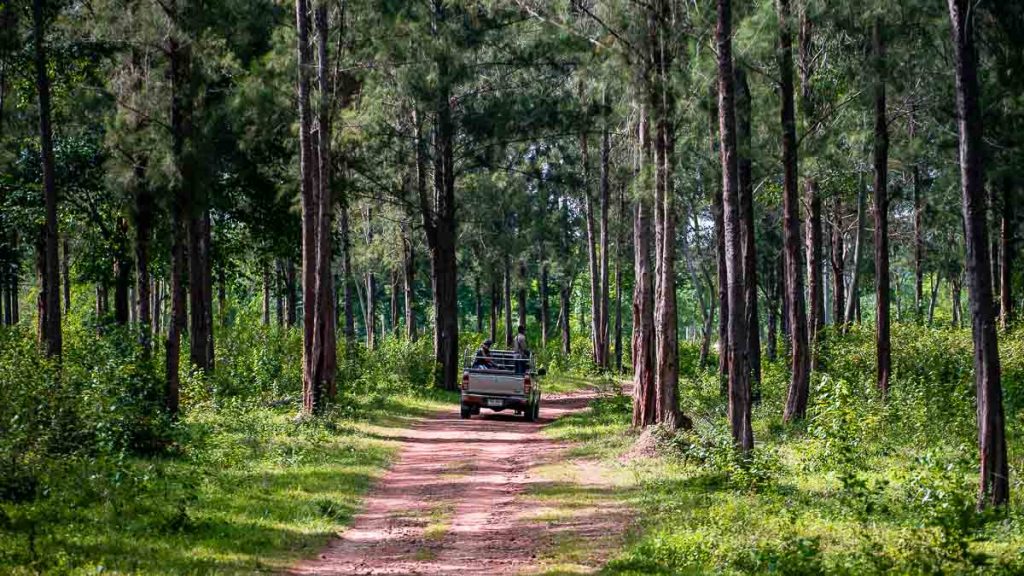 Kui Buri National Park Safari Tour Jeep - Things to do in Hua Hin