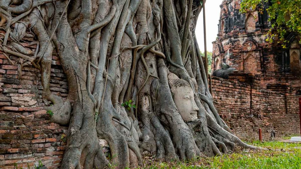 Ayutthaya Wat Mahathat - Thailand Road Trip