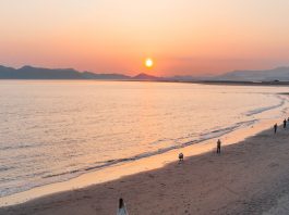 Featured - Busan Hidden Gem