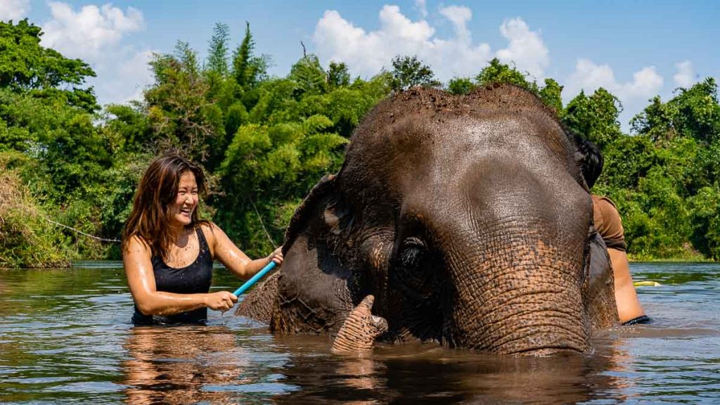 Kanchanaburi Elephants World Elephant Daycare Visitors Bathing Elephants - Thailand Road Trip