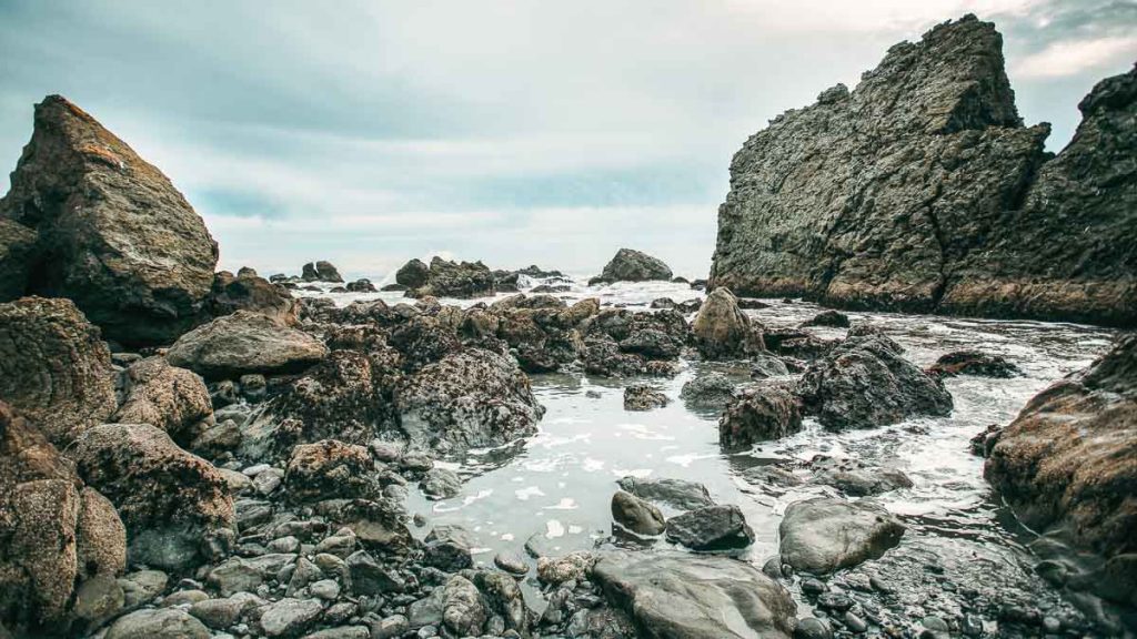 Muir Beach - day trips from San Francisco