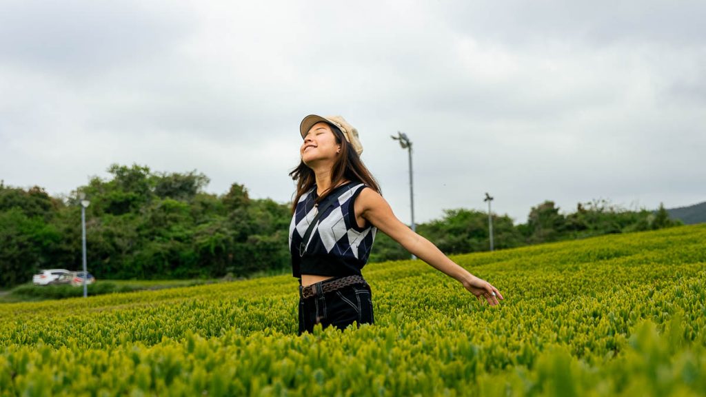Osulloc Tea Field - Things to do in Jeju