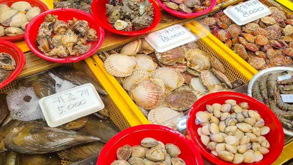Fresh Seafood at Tongyeong Jungang Market - Things to do in South Korea