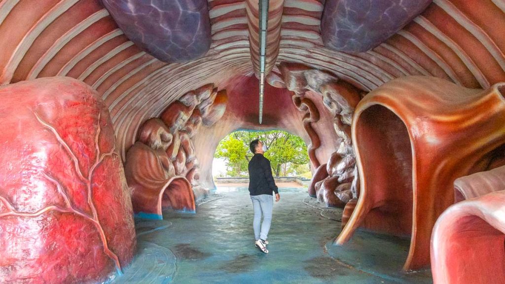 Man in Whale Mouth - Getaways from Singapore