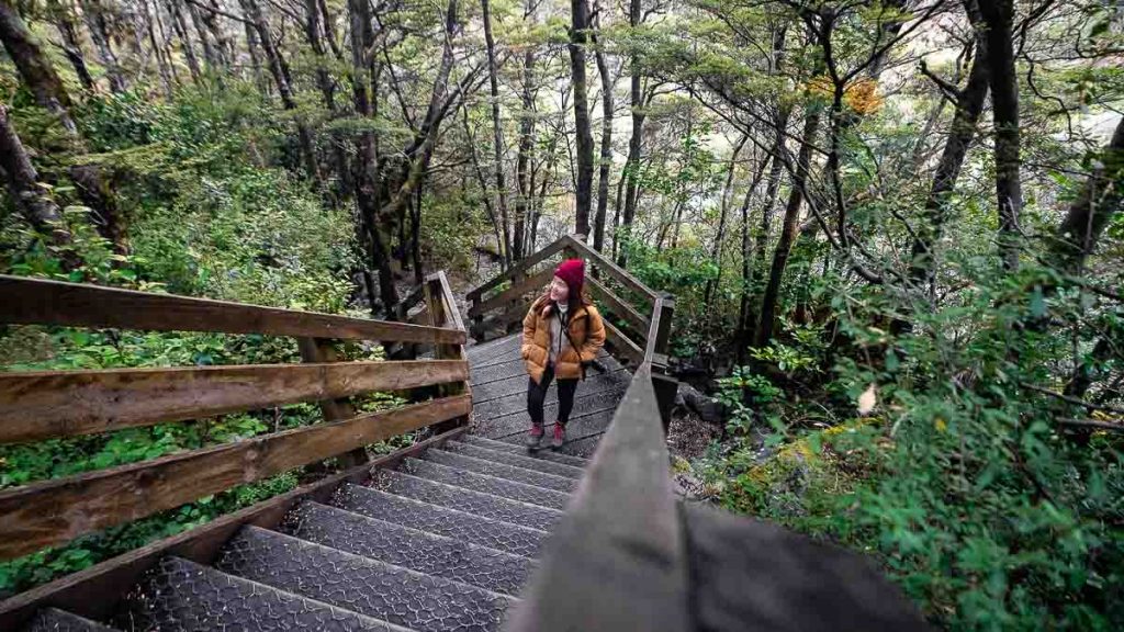 Arthur's Pass Devil's Punchbowl Walking Track Stairs Hike - New Zealand South Island Guide