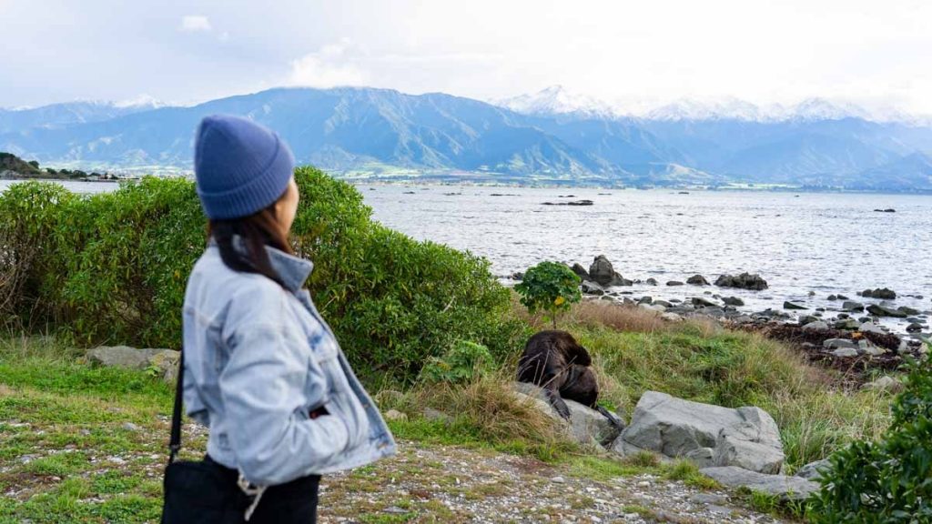 Kaikoura Scenery and Seal - New Zealand South Island Itinerary