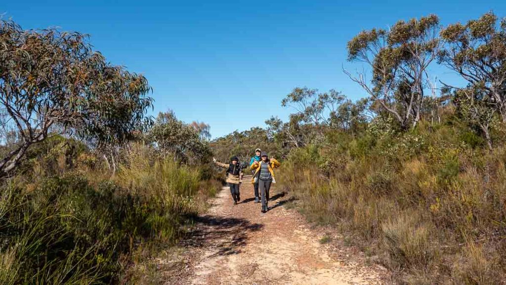 Ku Ring Gai Chase National Park Topham Track Cave Viewpoint - Things to do in New South Wales