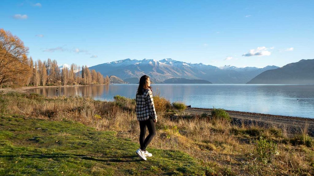 Lake Wanaka in the Morning Wanaka Tree - New Zealand South Island Guide