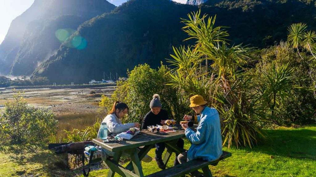 Friends having picnic in Milford Sound - New Zealand Milford Sound