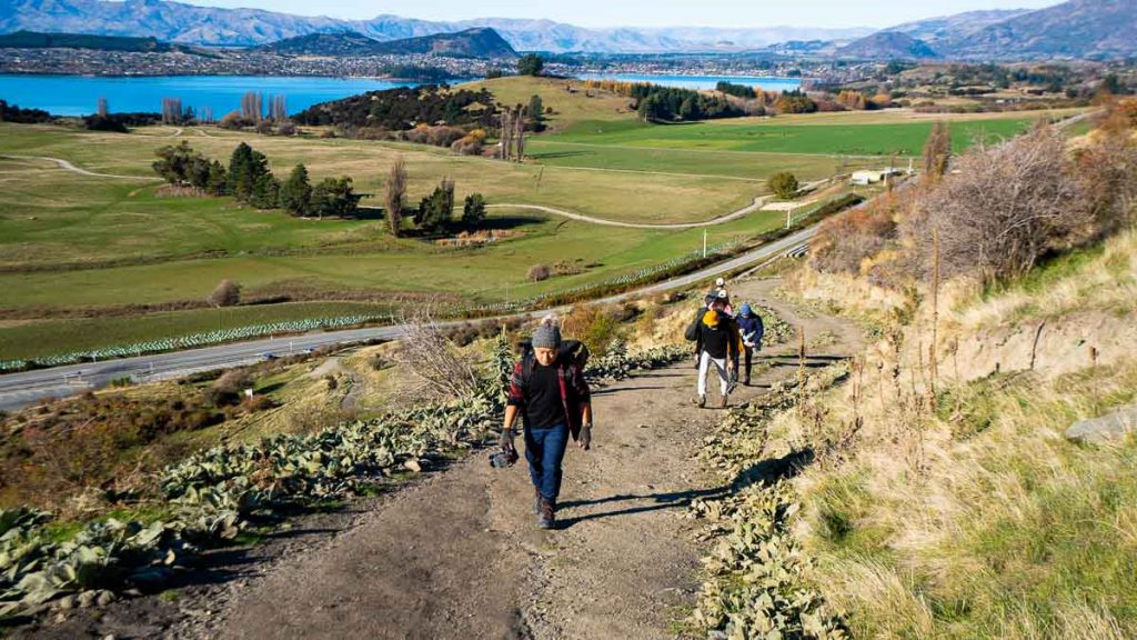 Friends hiking up Roys Peak - New Zealand South Island