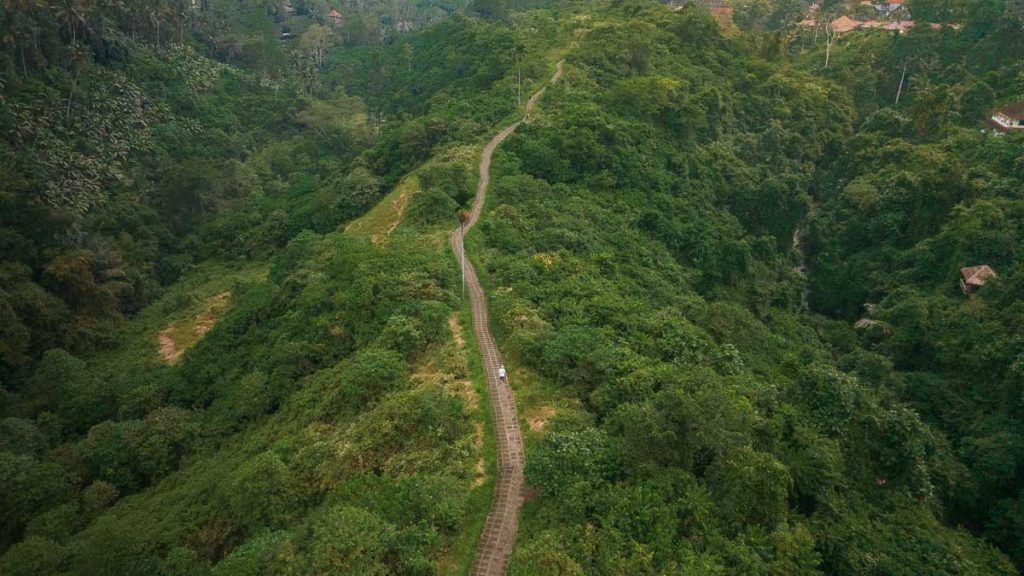 Campuhan Ridge Drone shot - bali itinerary