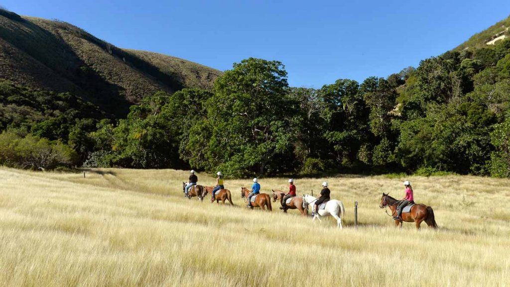 People Riding Horses - Things to do in New Caledonia