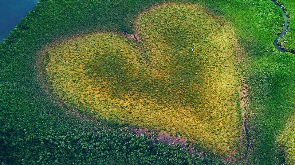 Heart of Voh Landscape - Things to do in New Caledonia