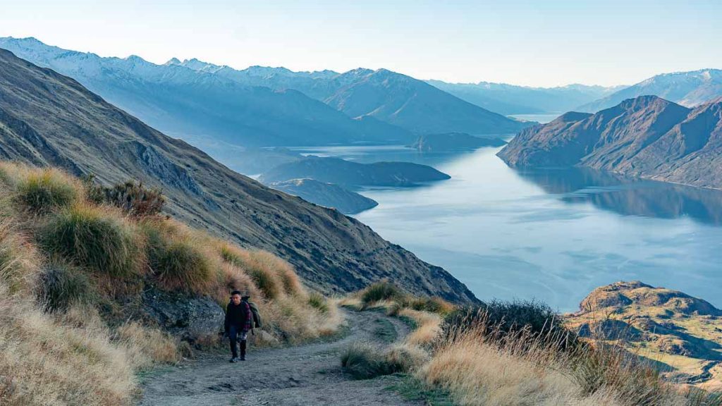 Hiker Climbing Roys Peak Tekapo - New Zealand FAQs
