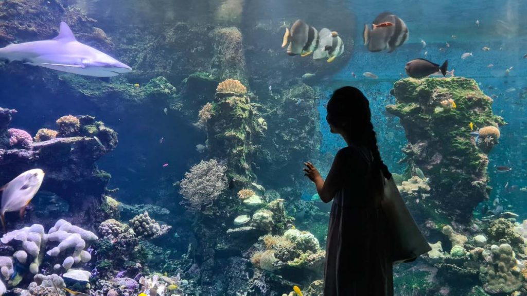 Girl Looking at Lagoons Aquarium Tank - New Caledonia