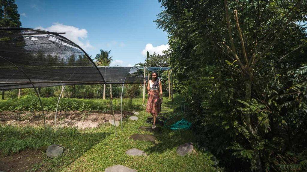 Walking through Tanah Gejah Organic Garden - Things to do in Ubud