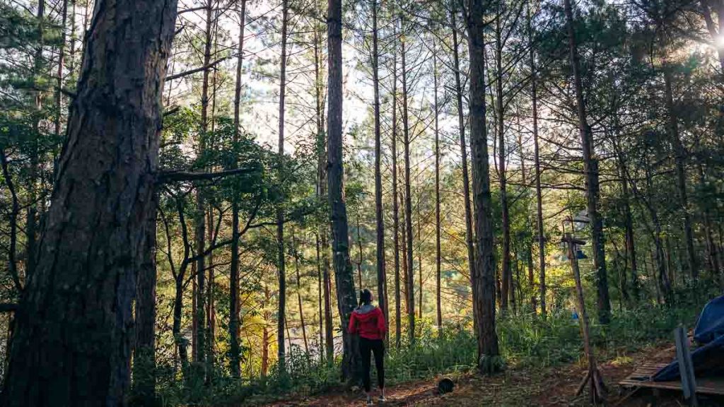 Da Lat Forest Campsite during Tuyen Lake Kayak Tour - Best Things to Da Lat