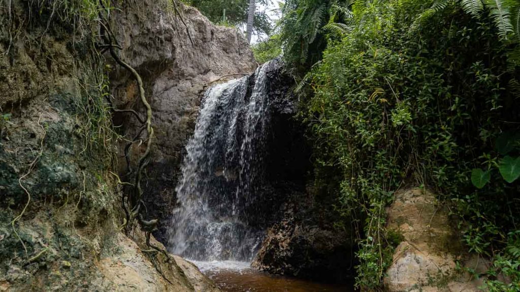 Mui Ne Fairy Stream Waterfall -  Best Things to do in Mui Ne