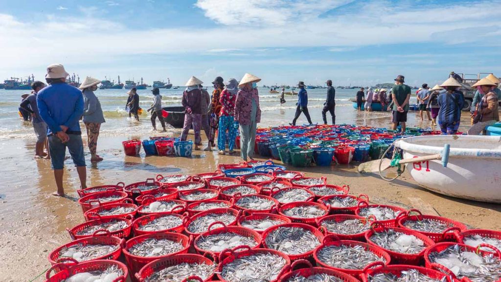 Fishermen at Mui Ne Fishing Village - Things to do in Mui Ne