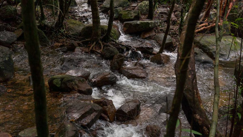 Rocky Path to Suoi Tranh Waterfall - Phu Quoc itinerary