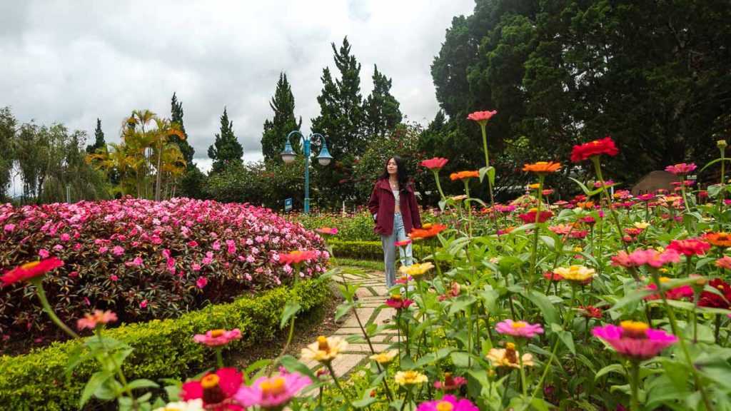 Girl Walking Through Flowers at Da Lat Flower Park