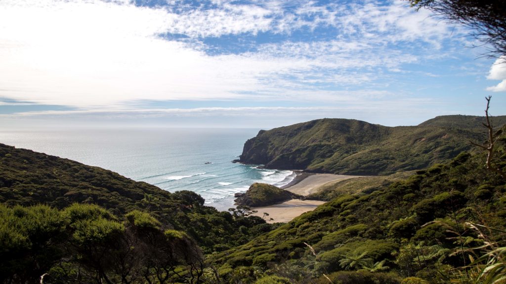 Anawhata Beach - LOTR Hikes