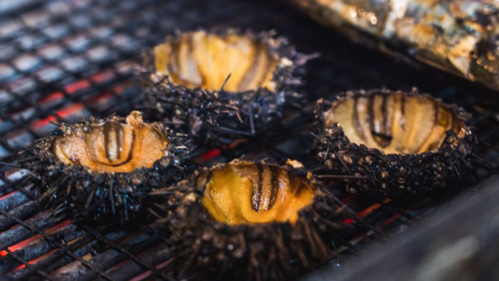 Sea Urchin Dinh Cau Night Market - Southern Vietnam Food