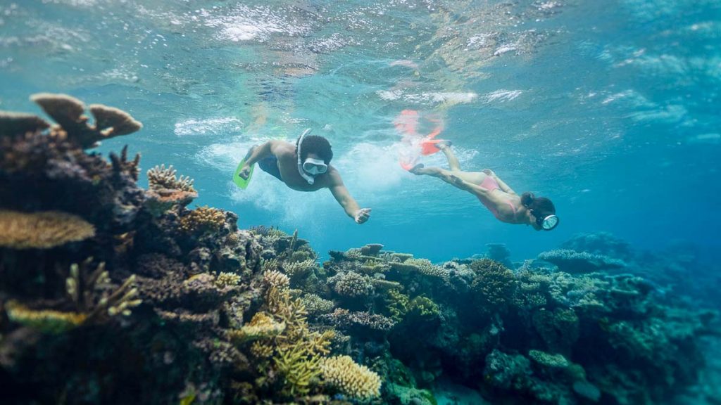 People Snorkelling in Fiji - Travelling with Family