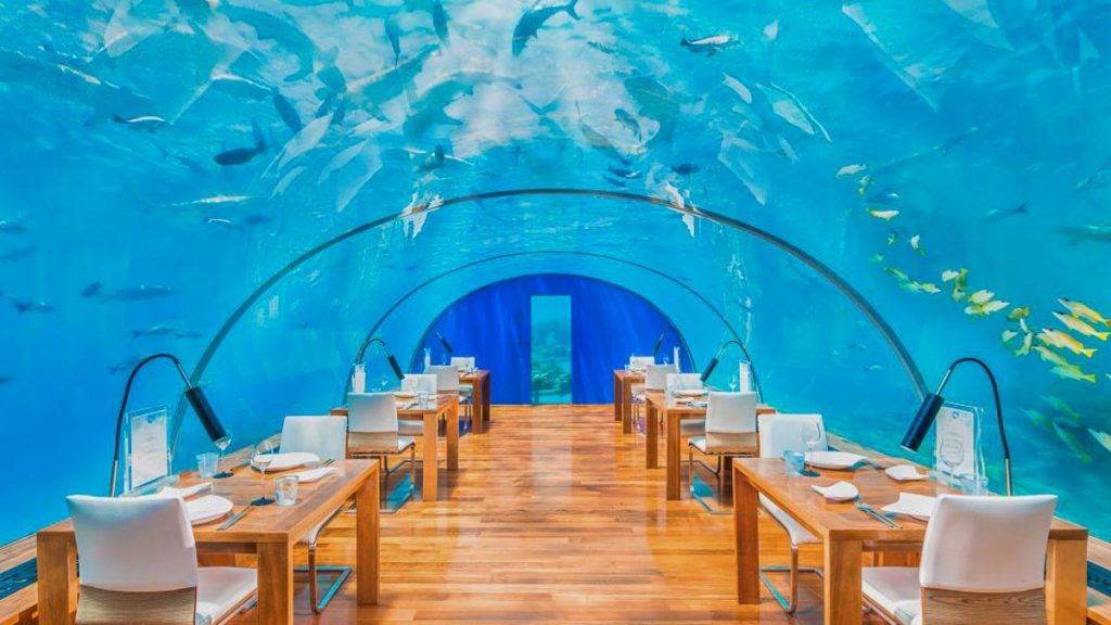 Ithaa Undersea Restaurant with Fishes - Family Vacation 2022