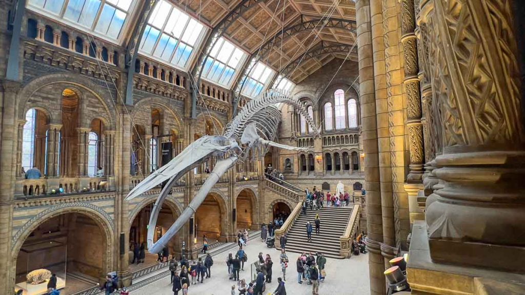 London Natural History Museum - Best Things to do in London