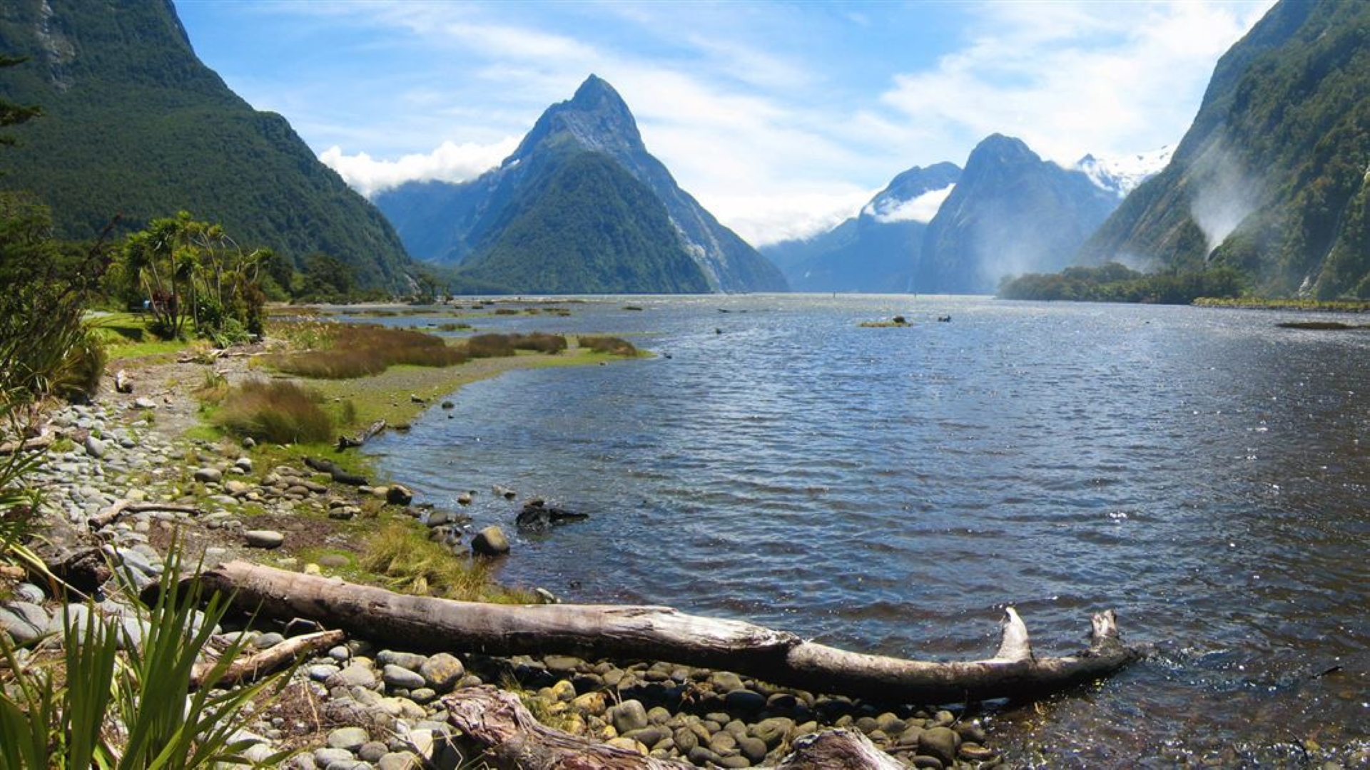 Milford Sound Lookout Track - LOTR Hikes
