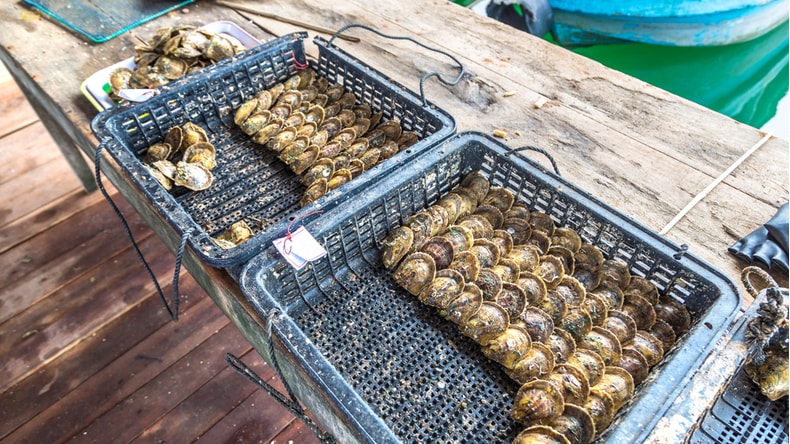 Pearl-Farm-Northern-Vietnam-Iinerary