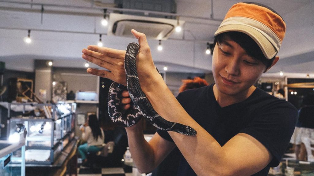 Man Holding Snake- Travelling with Family