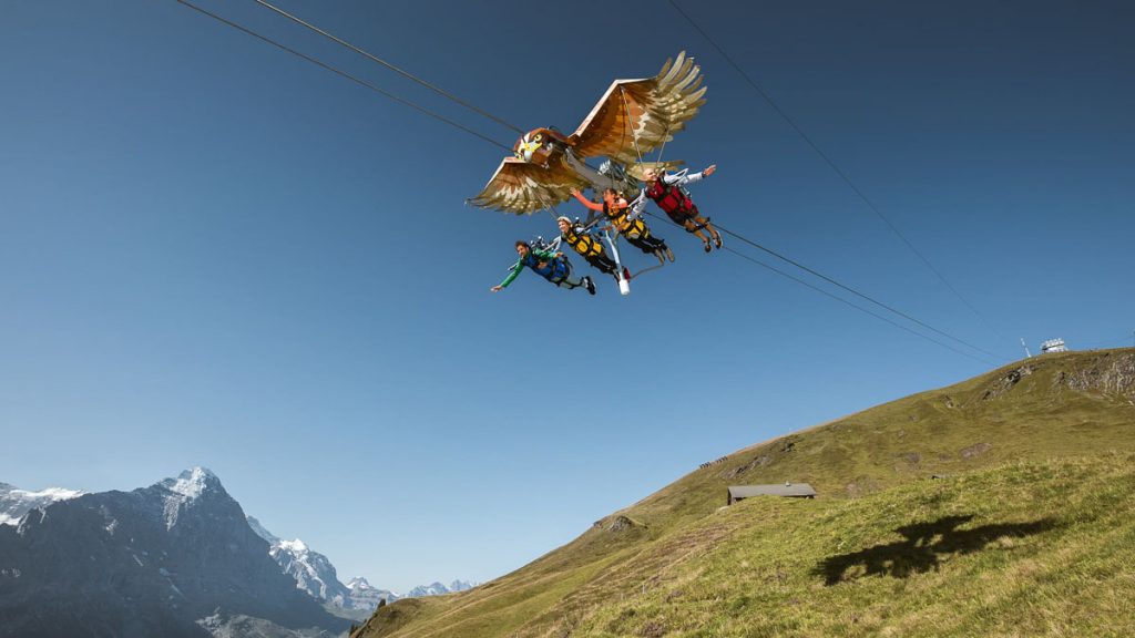 First Glider Grindelwald First - Switzerland Things to Do