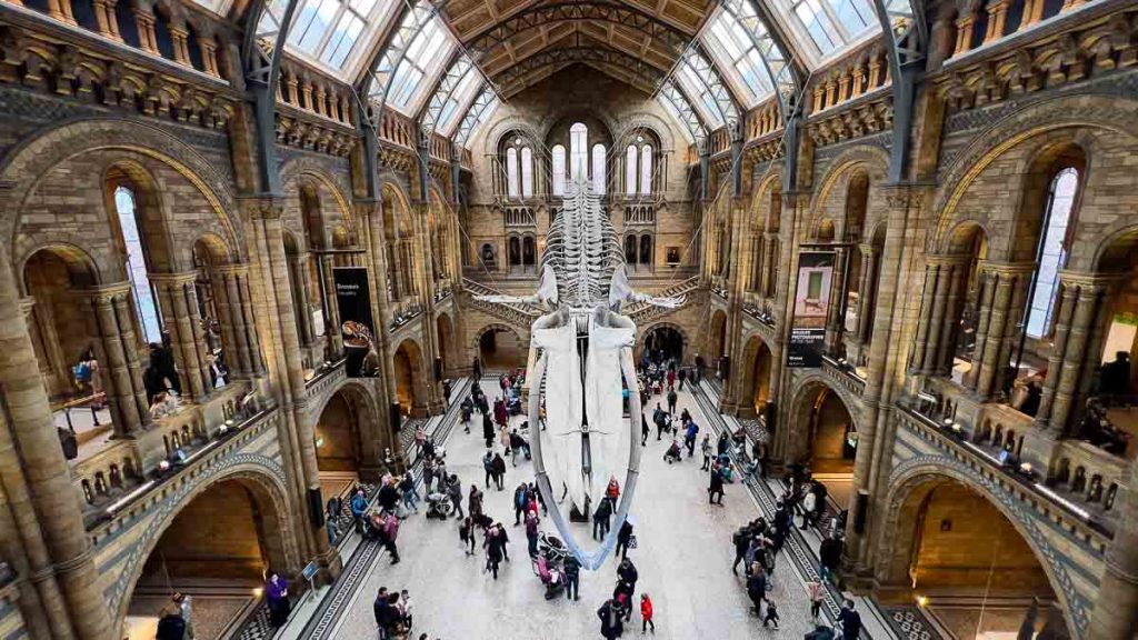 Natural History Museum - London Itinerary