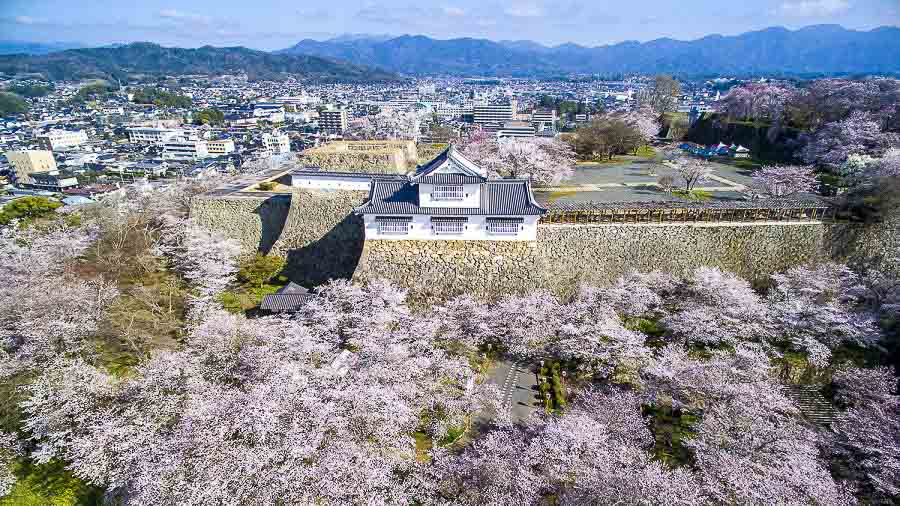 Tsuyama Castle and Kakuzan Park - Things to do in San'in Japan