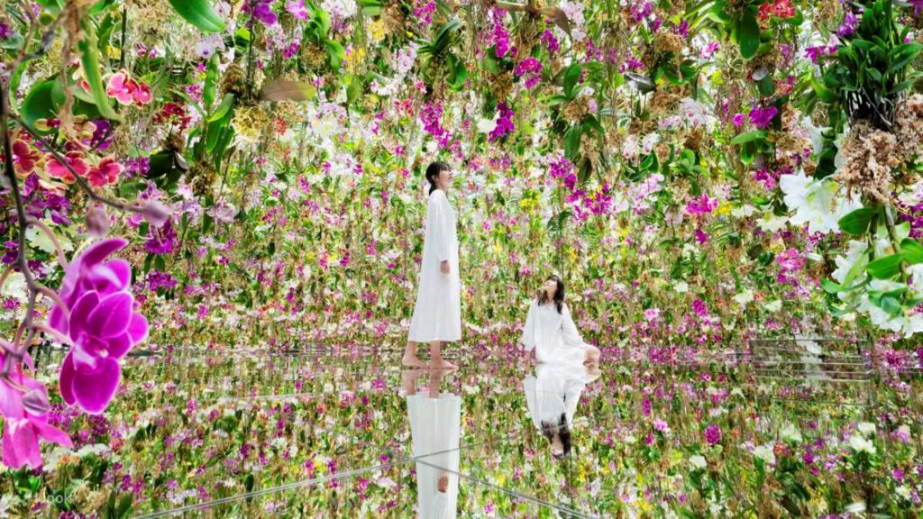 teamlab planets toyosu tokyo - pre-trip booking