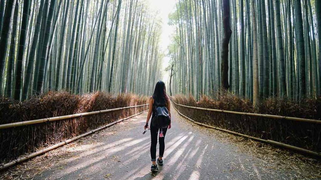 Girl Walking Along Arashiyama Bamboo Forest - Japan Itinerary