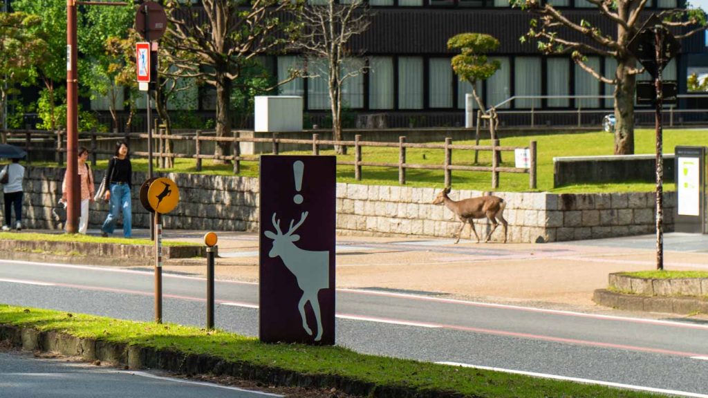 Deer alert road sign at Nara Park - Japan self-Driving Guide