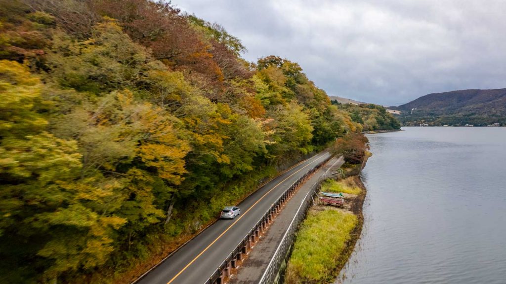 Car driving past autumns foliage - Tokyo car rental