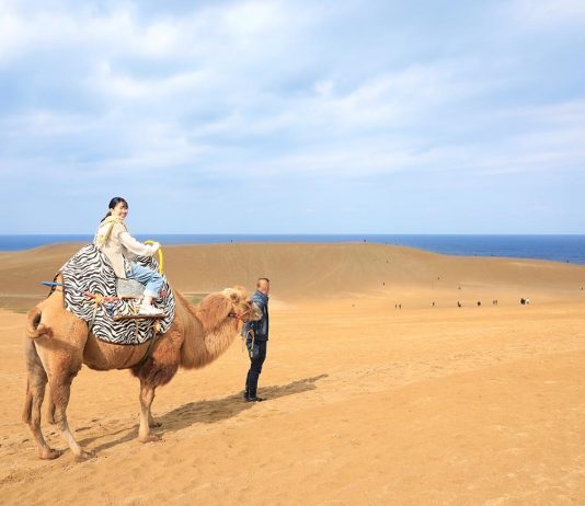 11 Things to Do in San’in and Sanyo — Japan’s Hidden Gems For Road Trippers Featured - Things to do in San'in and Sanyo