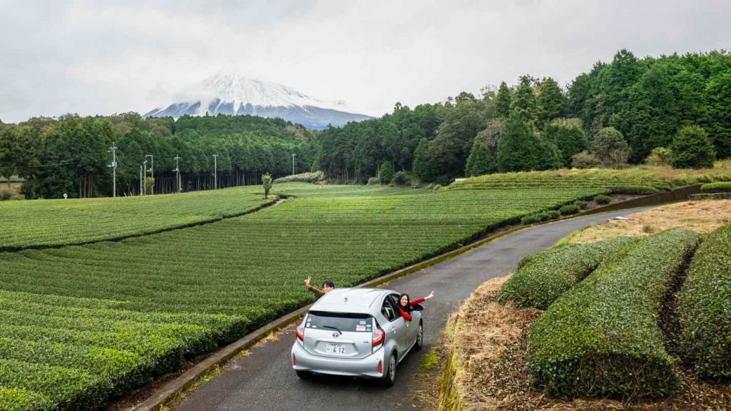 Group photo in front of car at tea plantation - Driving in Japan