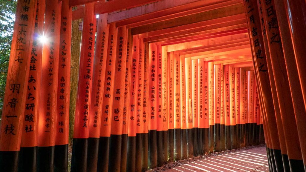 Fushimi Inari Shrine Torii Gates - Things to do in Kyoto