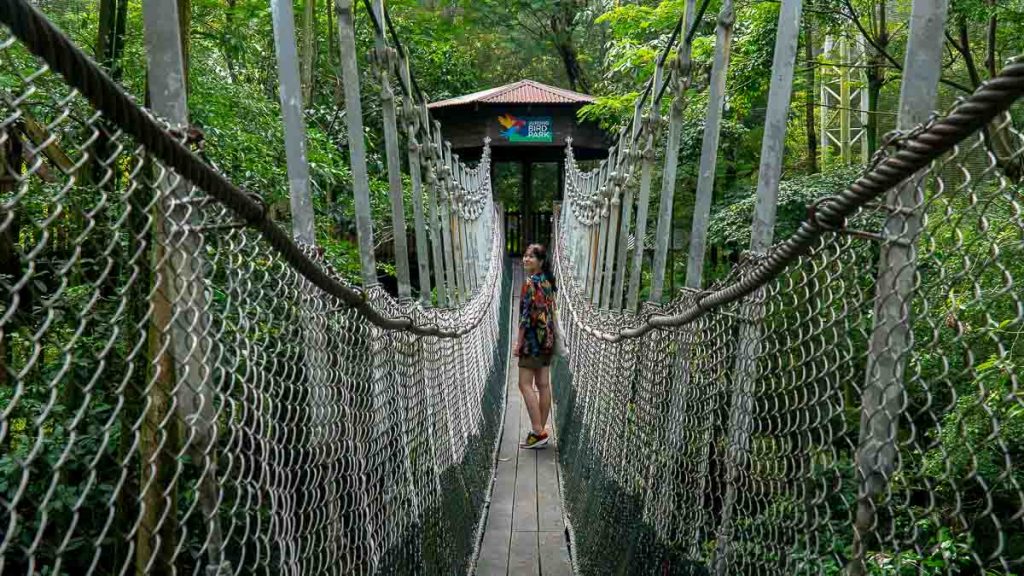 Jurong bird park suspension bridge a flight to remember - New Things to do in Singapore November 2022