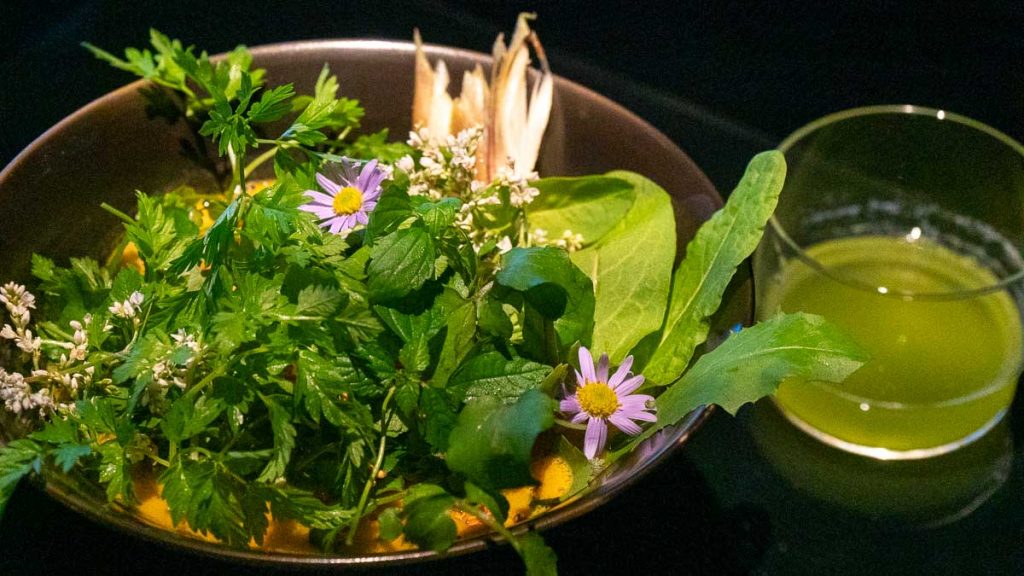 Bowl of Mountain Herbs Ramen - Things to eat in Kyoto